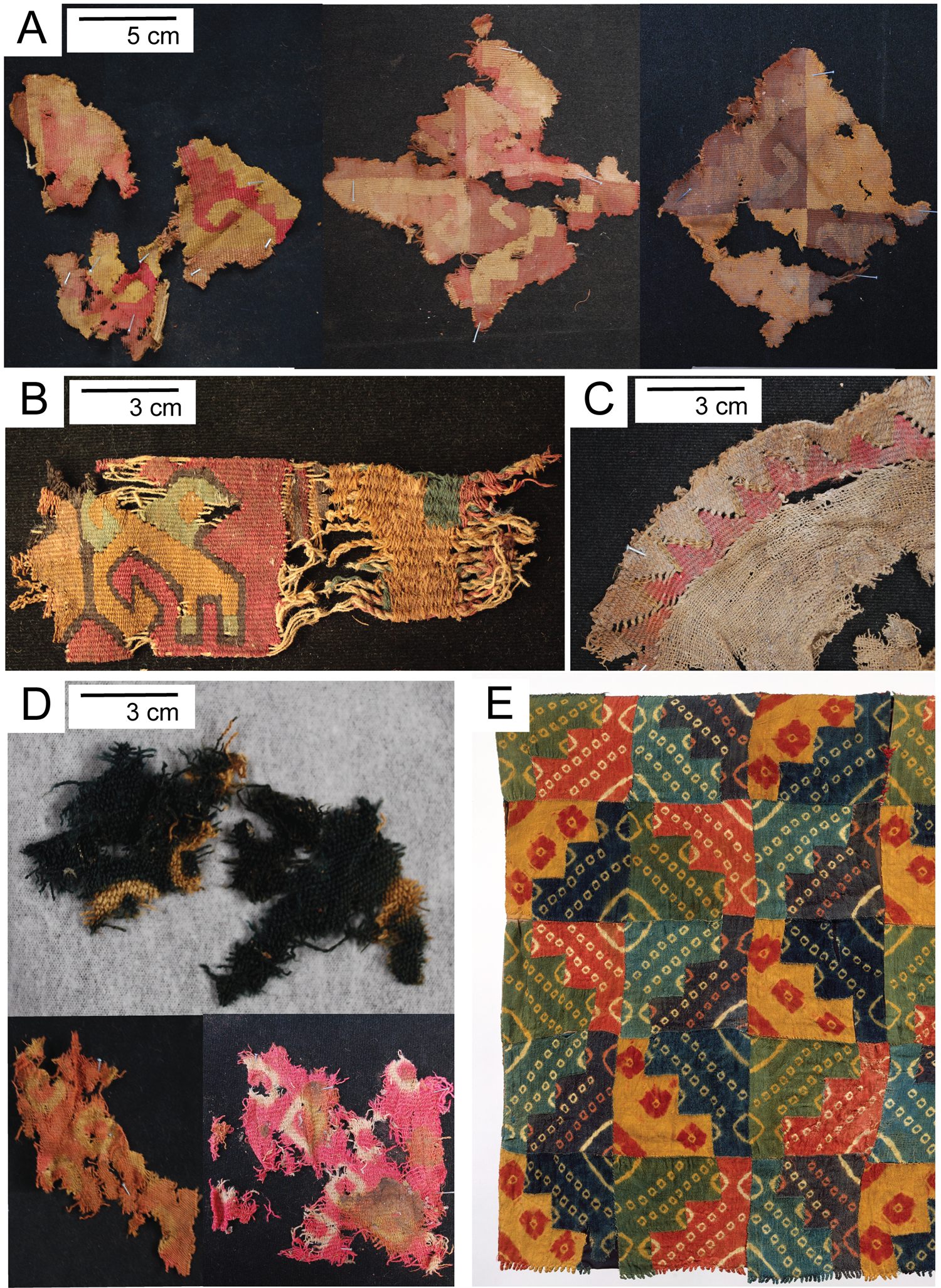 ふるさと割】 テキスタイル 5000年の歴史「5000 textiles」 of years