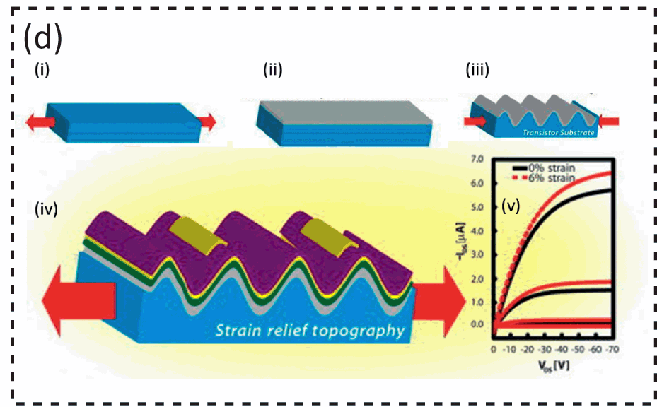 Wafer-scale monolithic integration of full-colour micro-LED display using  MoS2 transistor