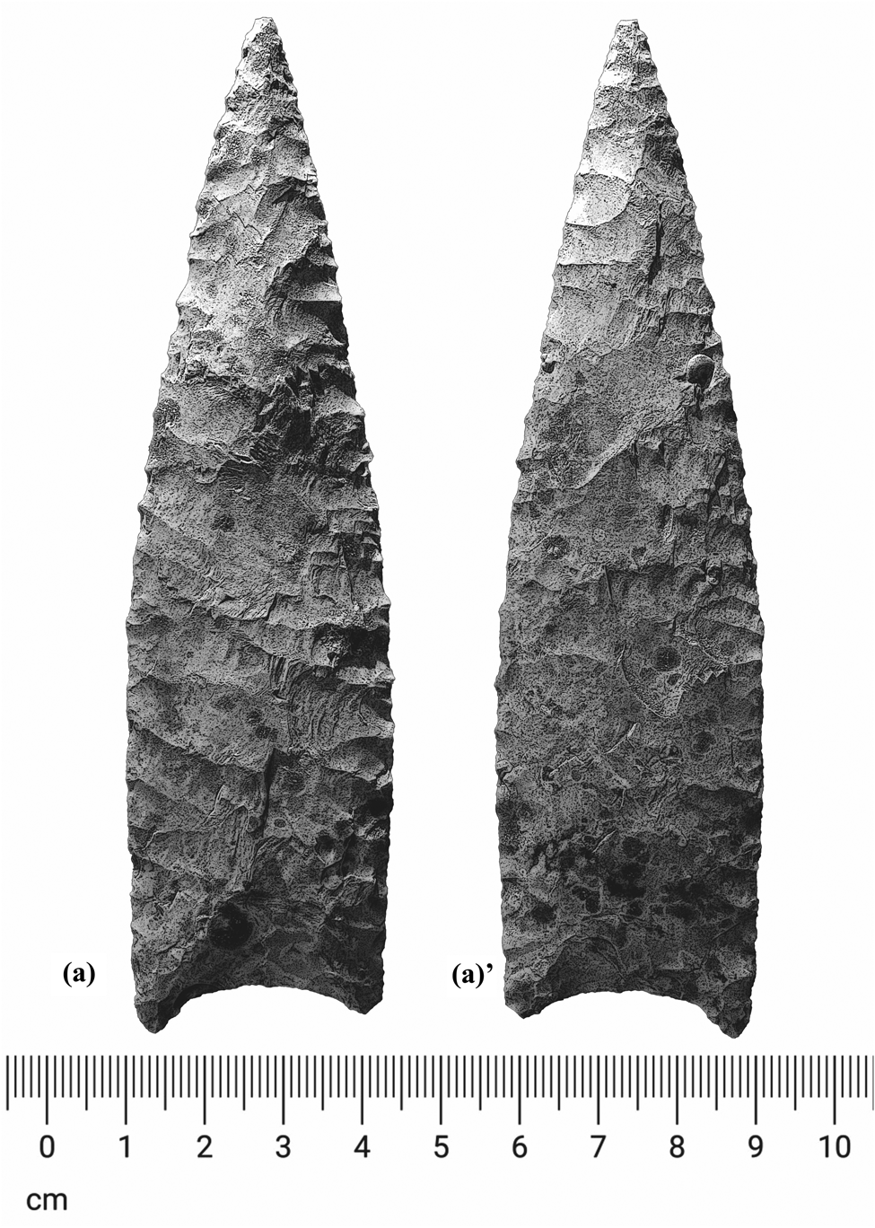 THE ORIGINS AND IDENTIFICATION OF THE EARLY MAYA FROM COLHA AND ...