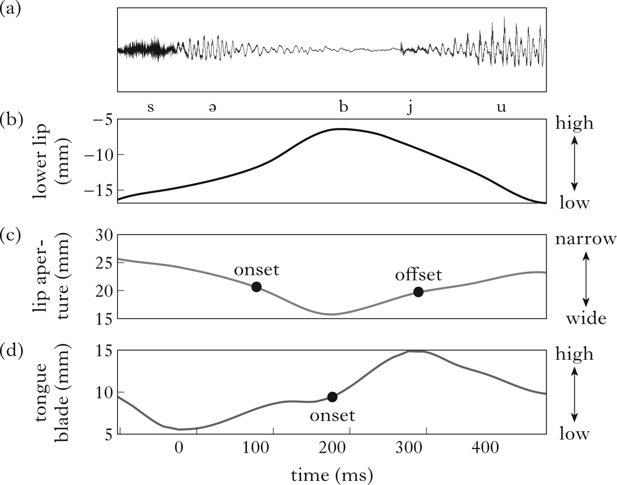 Articulatory coordination distinguishes complex segments Articulatory coordination distinguishes complex segments