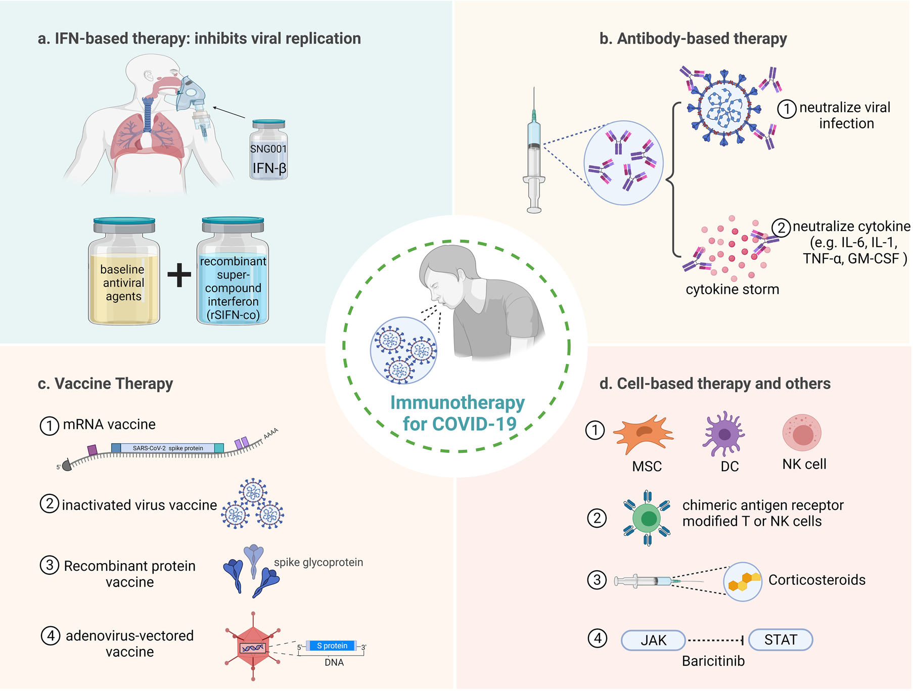 Immunology of COVID-19