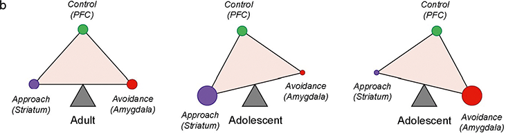 Childhood and Adolescence The Development of Human Thinking