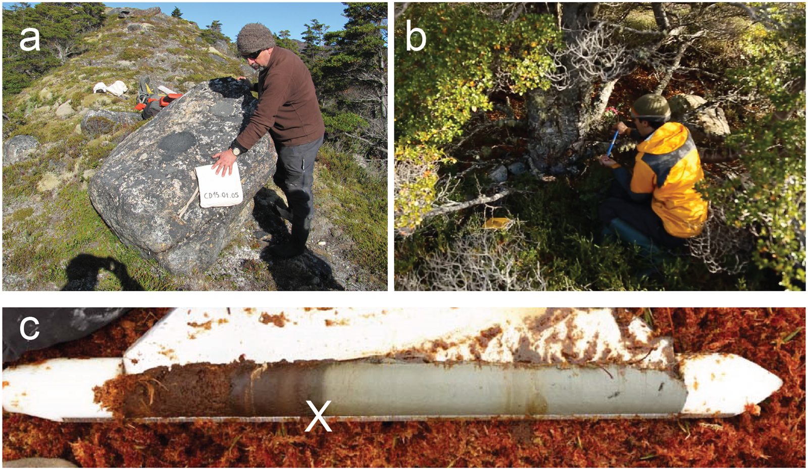 Holocene glacier history of northeastern Cordillera Darwin, southernmost  South America (55°S) | Quaternary Research | Cambridge Core