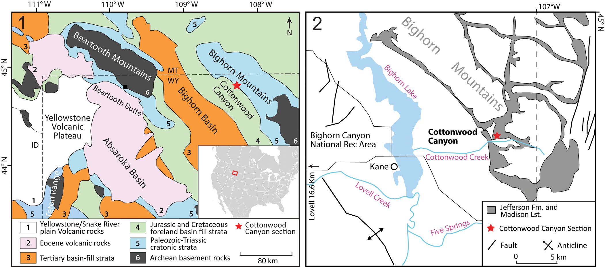 Adaptive function and phylogenetic significance of novel skeletal ...