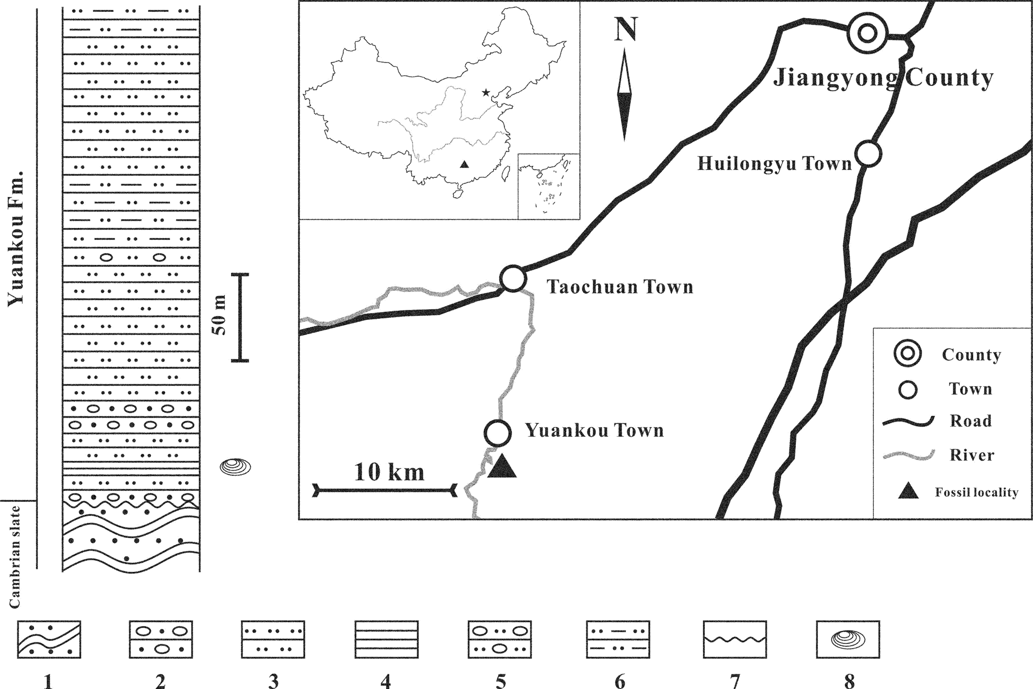 PDF) The biostratigraphic importance of conchostracans in the