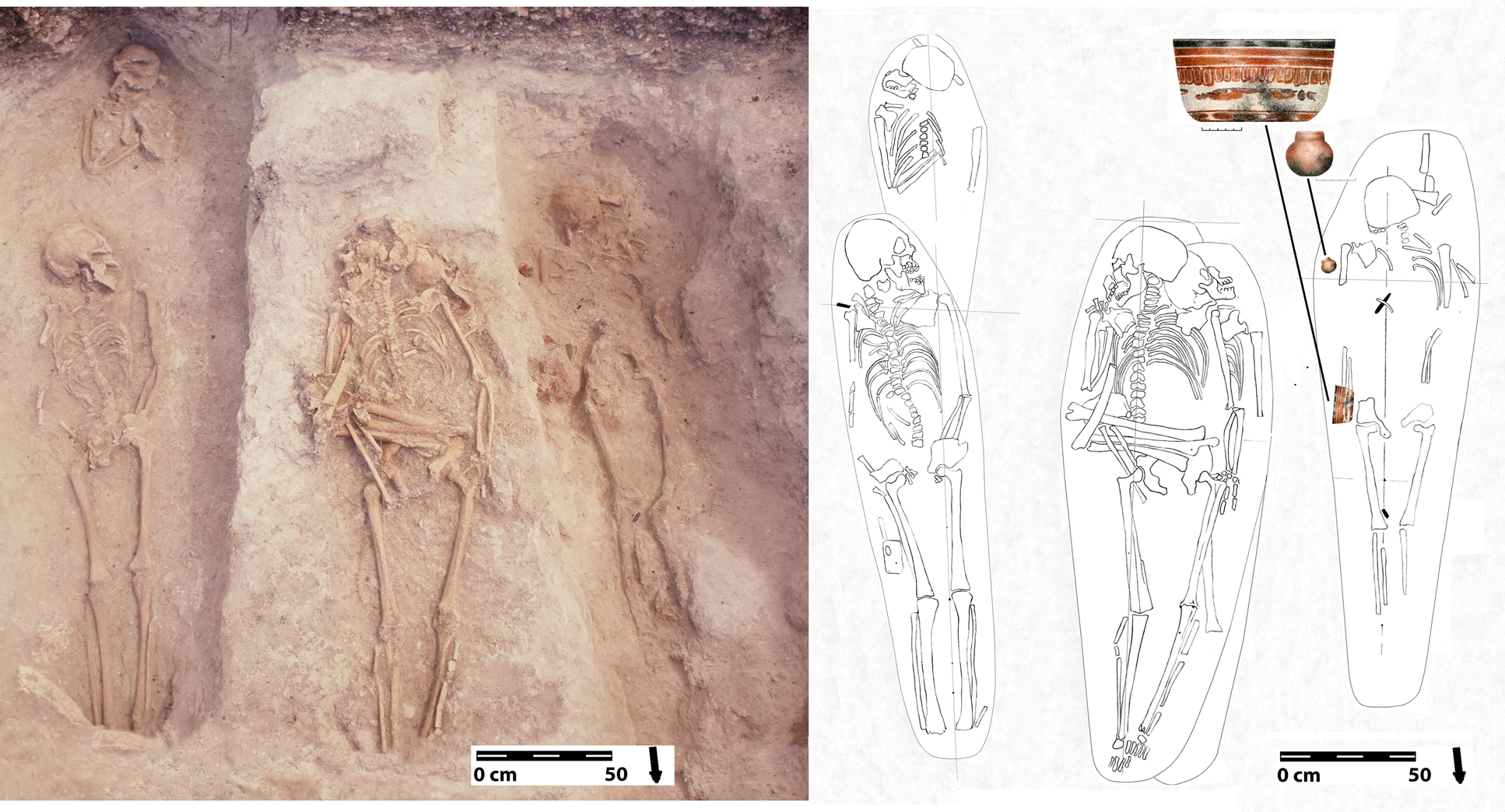 FIRST STEPS–DENTITION, KINSHIP, SOCIAL GROUPS, AND STATUS IN THE UPPER  BELIZE RIVER VALLEY: SMALL SAMPLE INSIGHTS INTO CLASSIC MAYA SOCIAL  ORGANIZATION IN CENTRAL WESTERN BELIZE | Ancient Mesoamerica | Cambridge  Core