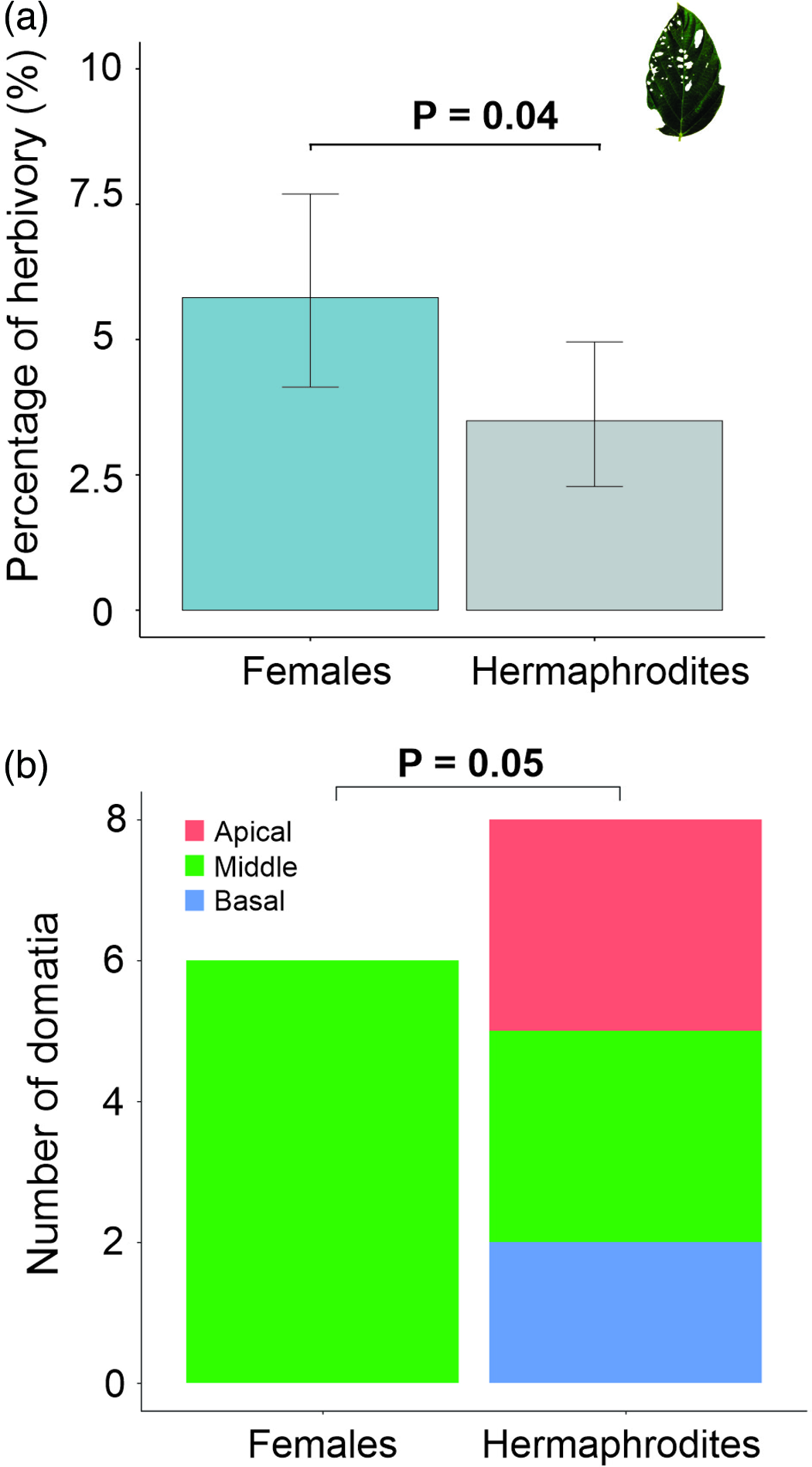 Females restrict the position of domatia and suffer more herbivory than