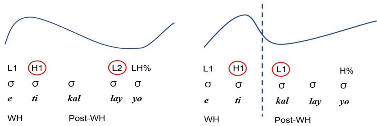 The Role Of Prosodic And Visual Information In Disambiguating Wh