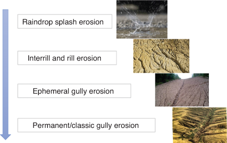 Rill Erosion And Gully Erosion