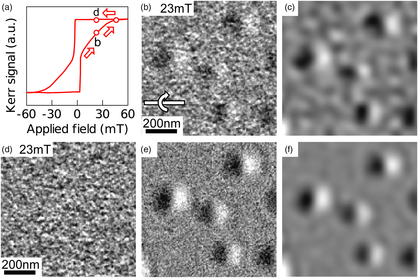 Visibility And Apparent Size Of Néel-Type Magnetic Skyrmions In Fresnel ...