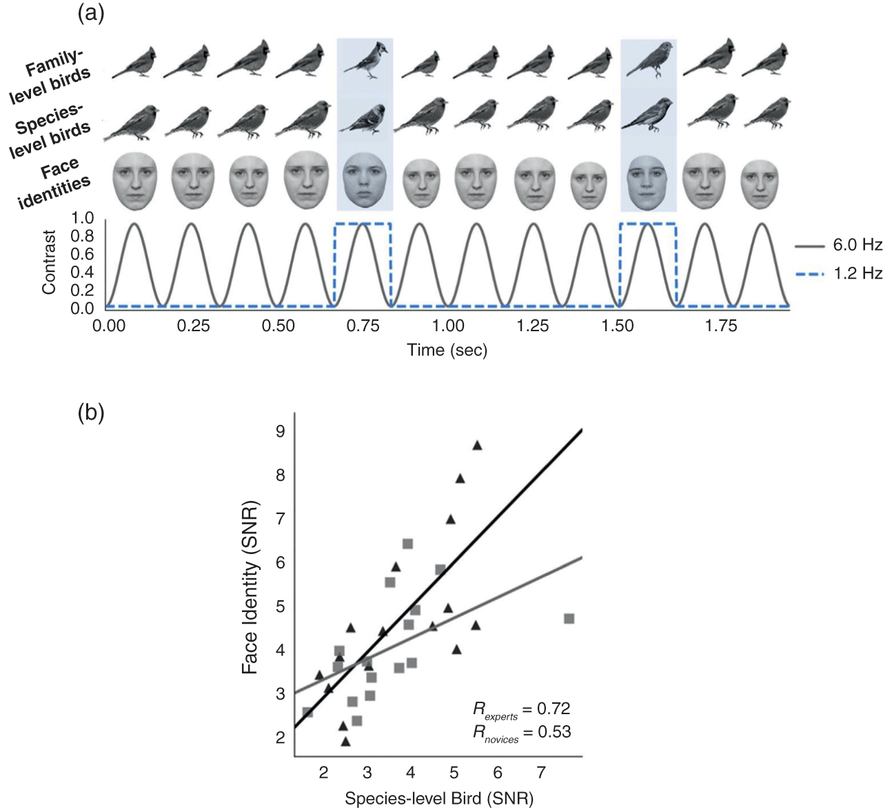 https://static.cambridge.org/binary/version/id/urn:cambridge.org:id:binary:20220223053121544-0580:9781108919616:82641fig15.png?pub-status=live