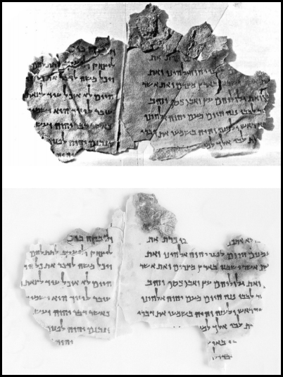 Dead Sea scrolls study raises new questions over texts' origins, Archaeology