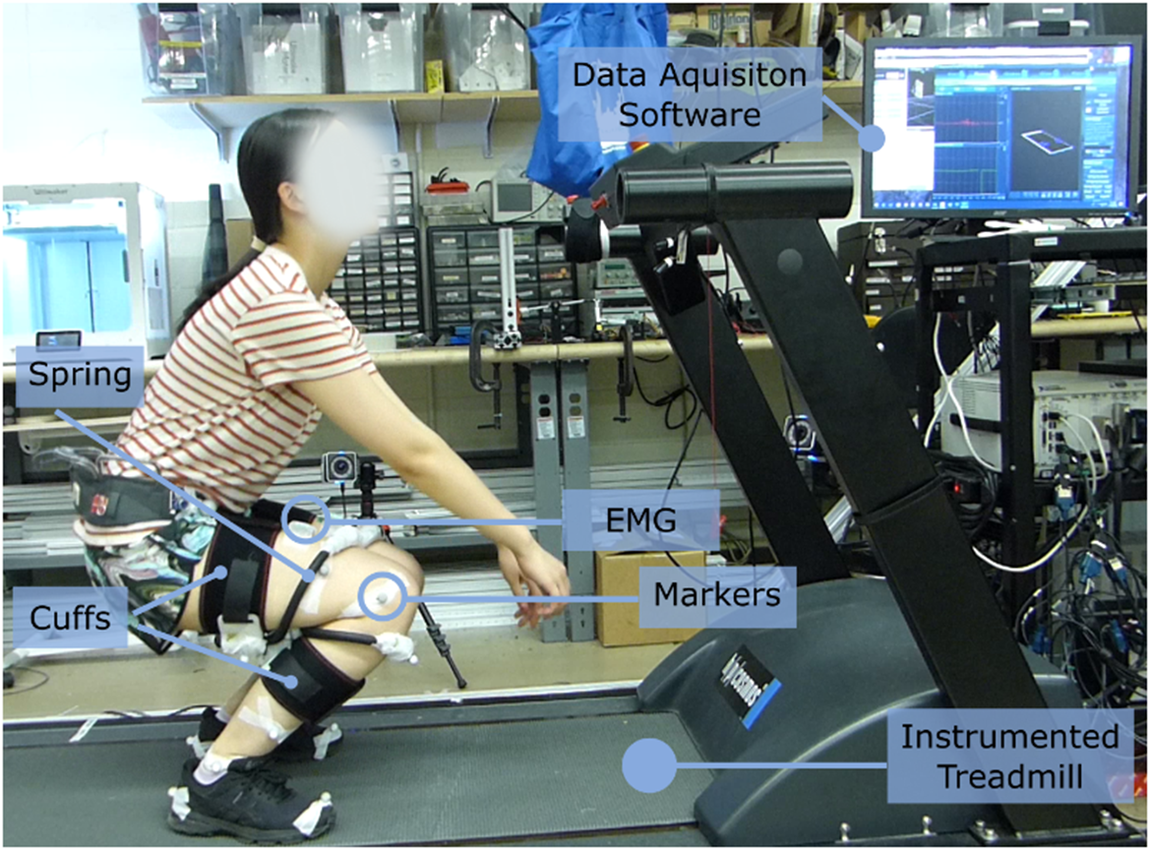 Biomechanical effects of passive hip springs during walking