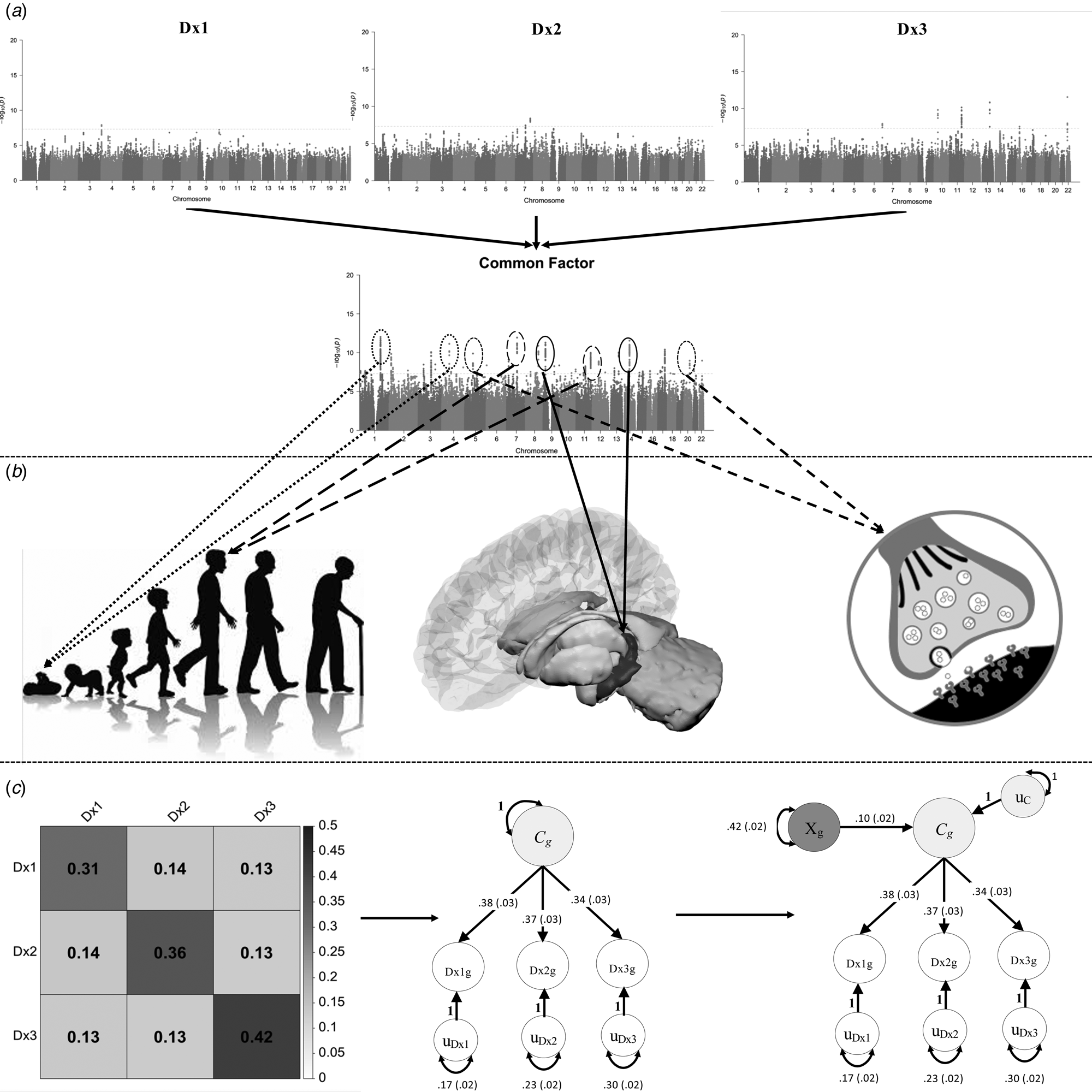 Shared Genetic Architecture Across Psychiatric Disorders ...