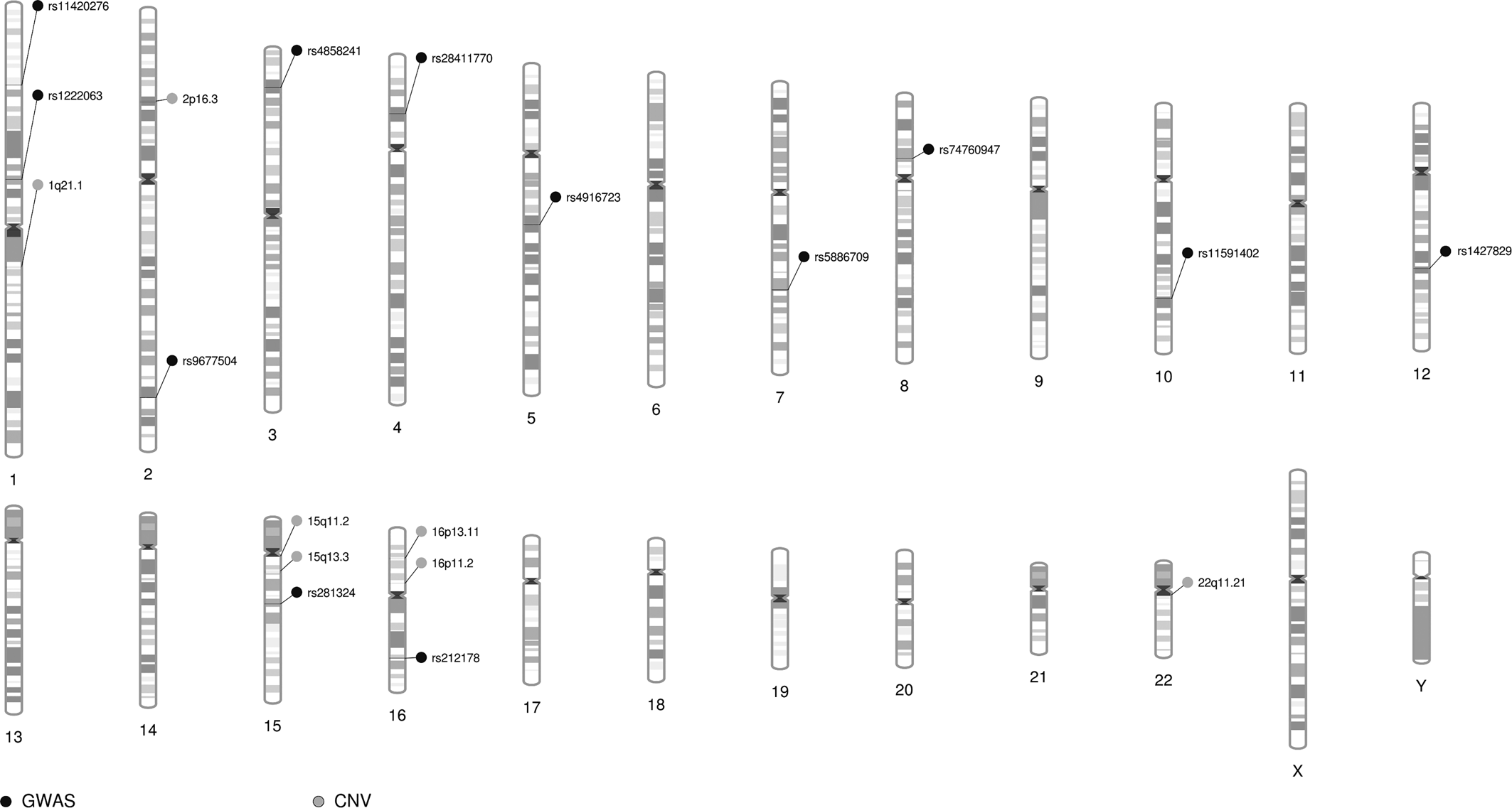 Druggable genome in attention deficit/hyperactivity disorder and