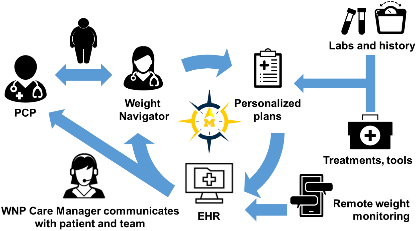 Developing weight navigation program to support personalized and ...