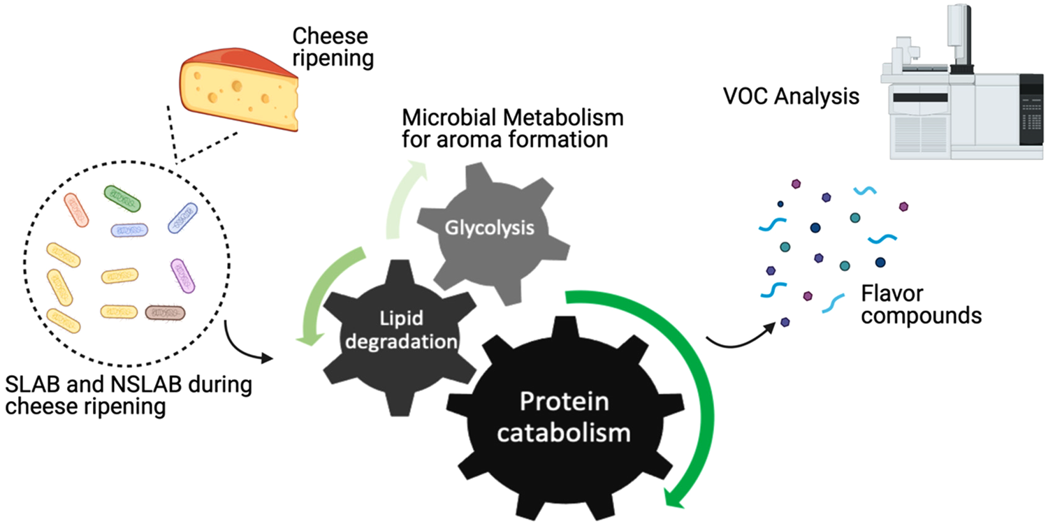 Developments In Effective Use Of Volatile Organic Compound Analysis To ...