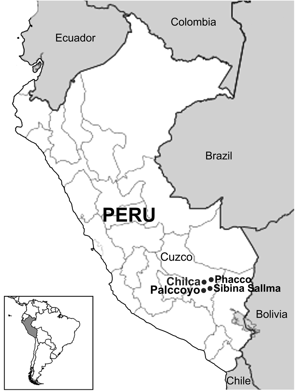 PDF) Molecular and morphological evidence of Taenia omissa in pumas (Puma  concolor) in the Peruvian Highlands