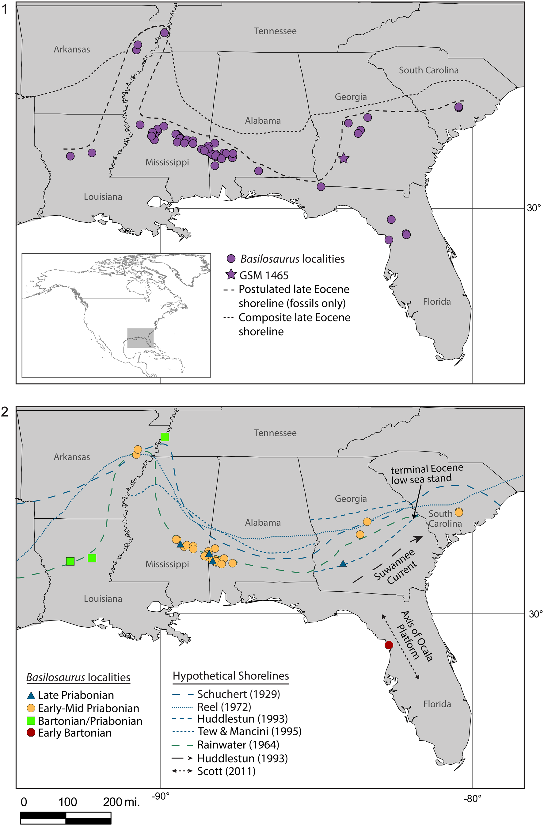 Biogeographic, stratigraphic, and environmental distribution of ...