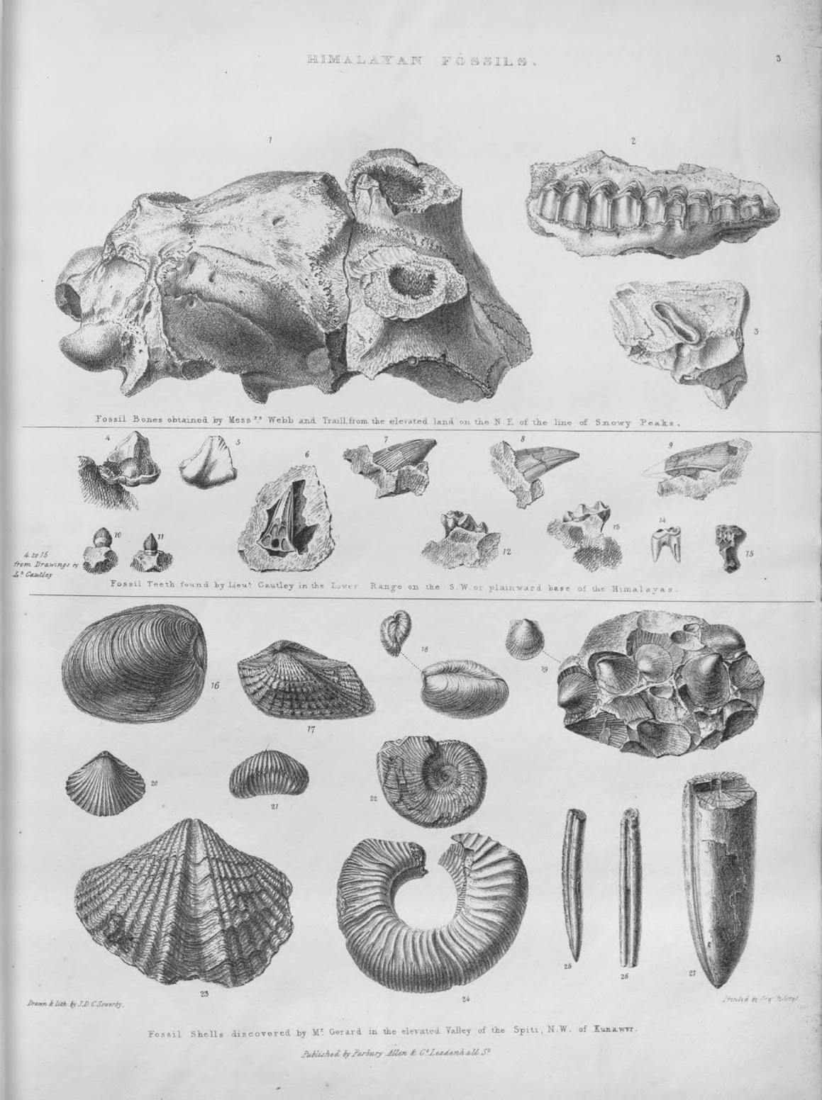 Trying the Dark: Mammoth Cave and the Racial Imagination, 1839