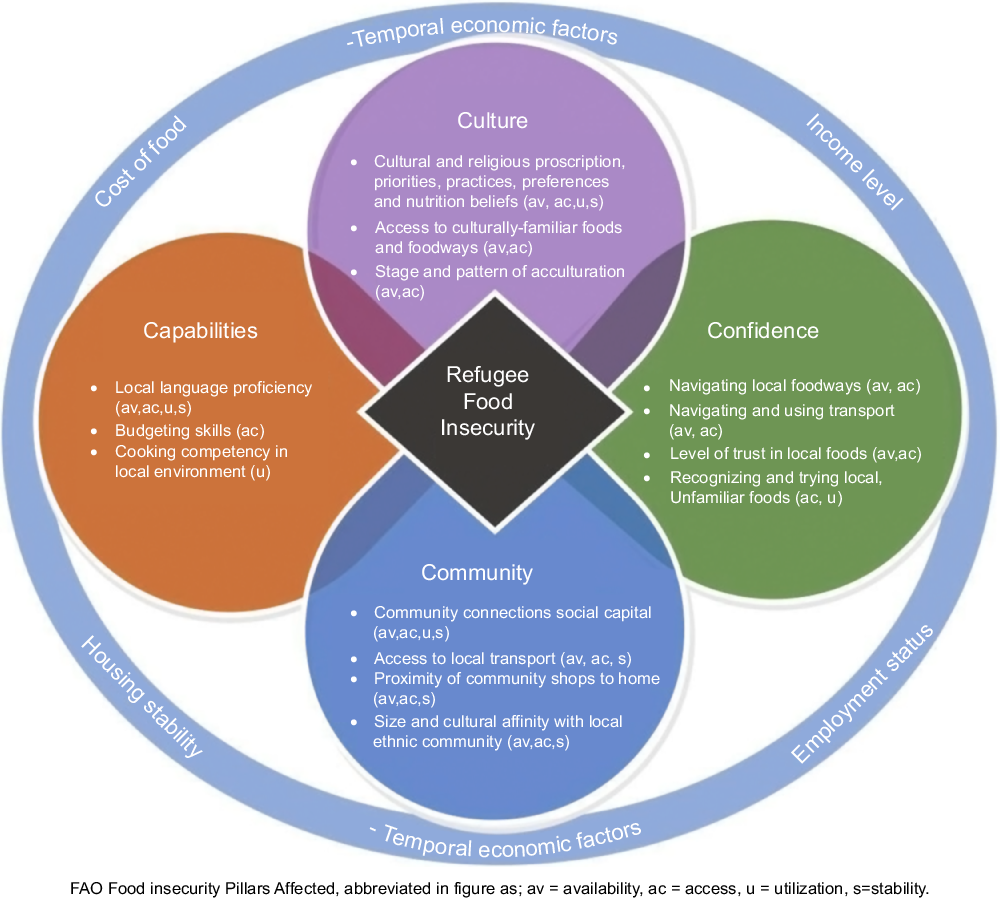 What factors are associated with food security among recently arrived ...