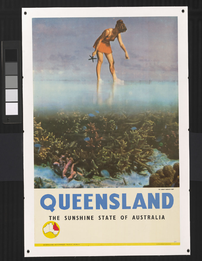 Laminated Australia Tourism Queensland Great Barrier Reef Angel Fish  Vintage Travel Poster Dry Erase Sign 24x36 - Poster Foundry