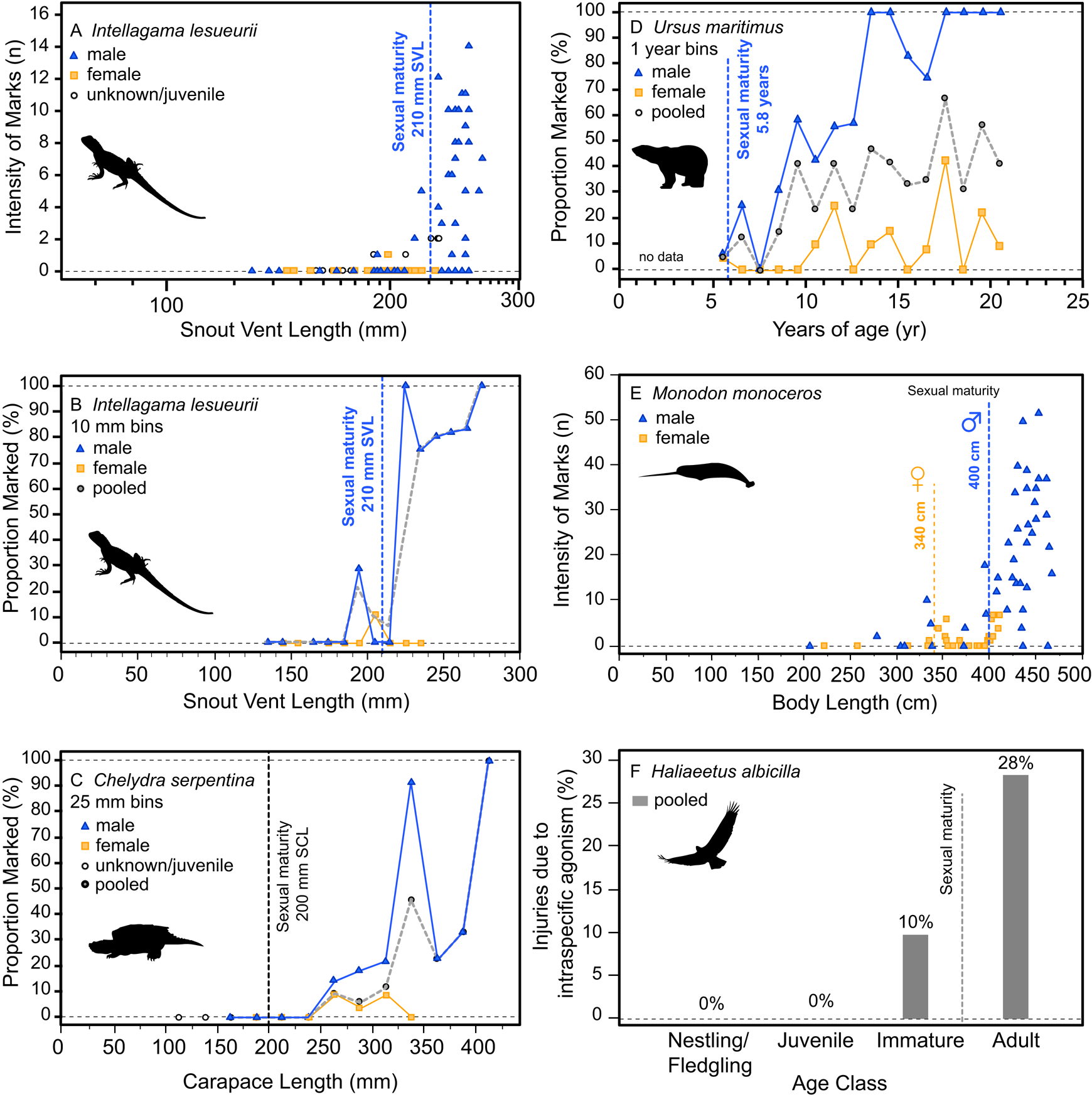 Intraspecific facial bite marks in tyrannosaurids provide insight into  sexual maturity and evolution of bird-like intersexual display |  Paleobiology | Cambridge Core