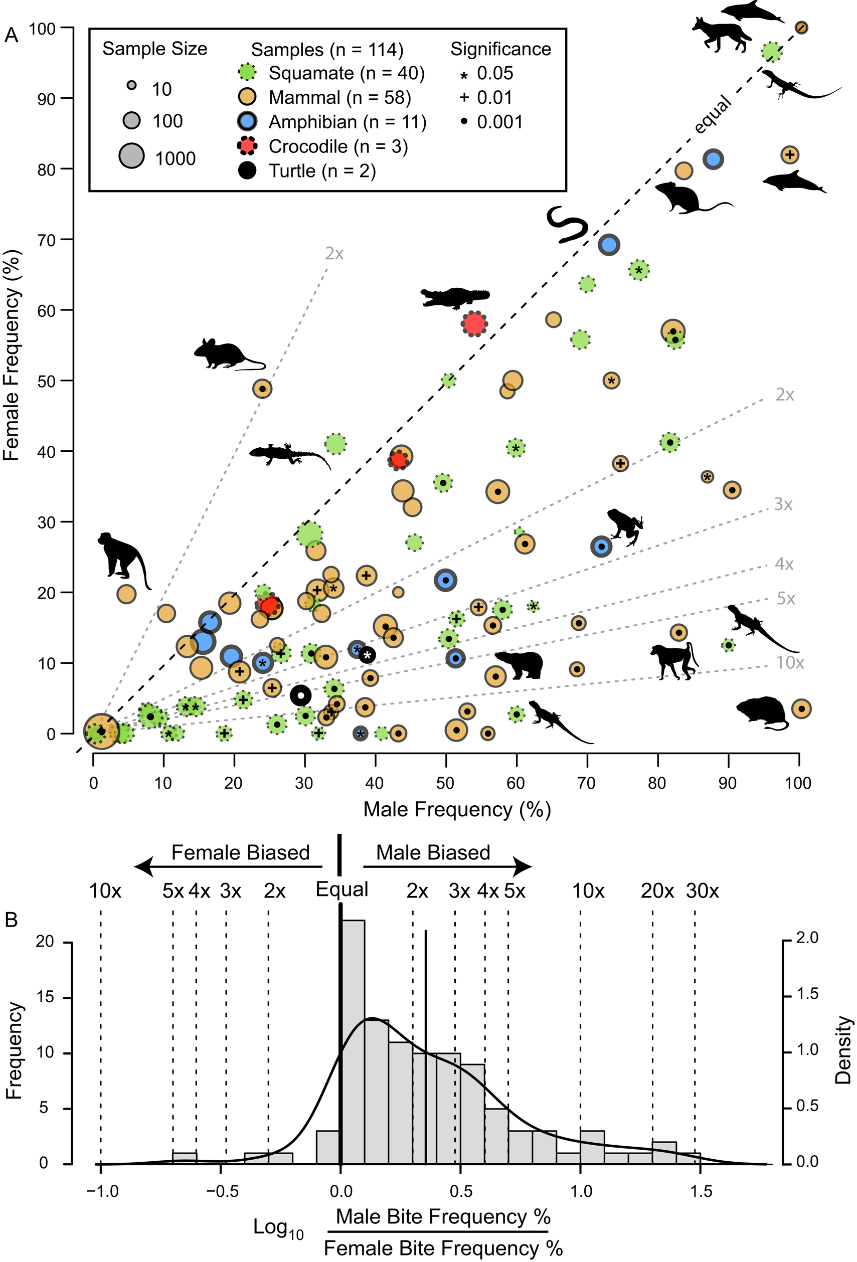 Intraspecific facial bite marks in tyrannosaurids provide insight into  sexual maturity and evolution of bird-like intersexual display |  Paleobiology | Cambridge Core