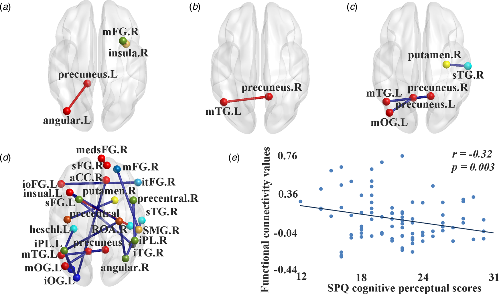 Altered brain structural and functional connectivity in schizotypy