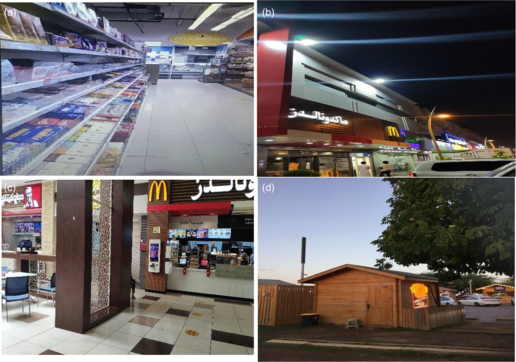 Undergraduate nursing and medical students’ perceptions of food security and access to healthy food in Qatar: a photovoice study | Journal of Nutritional