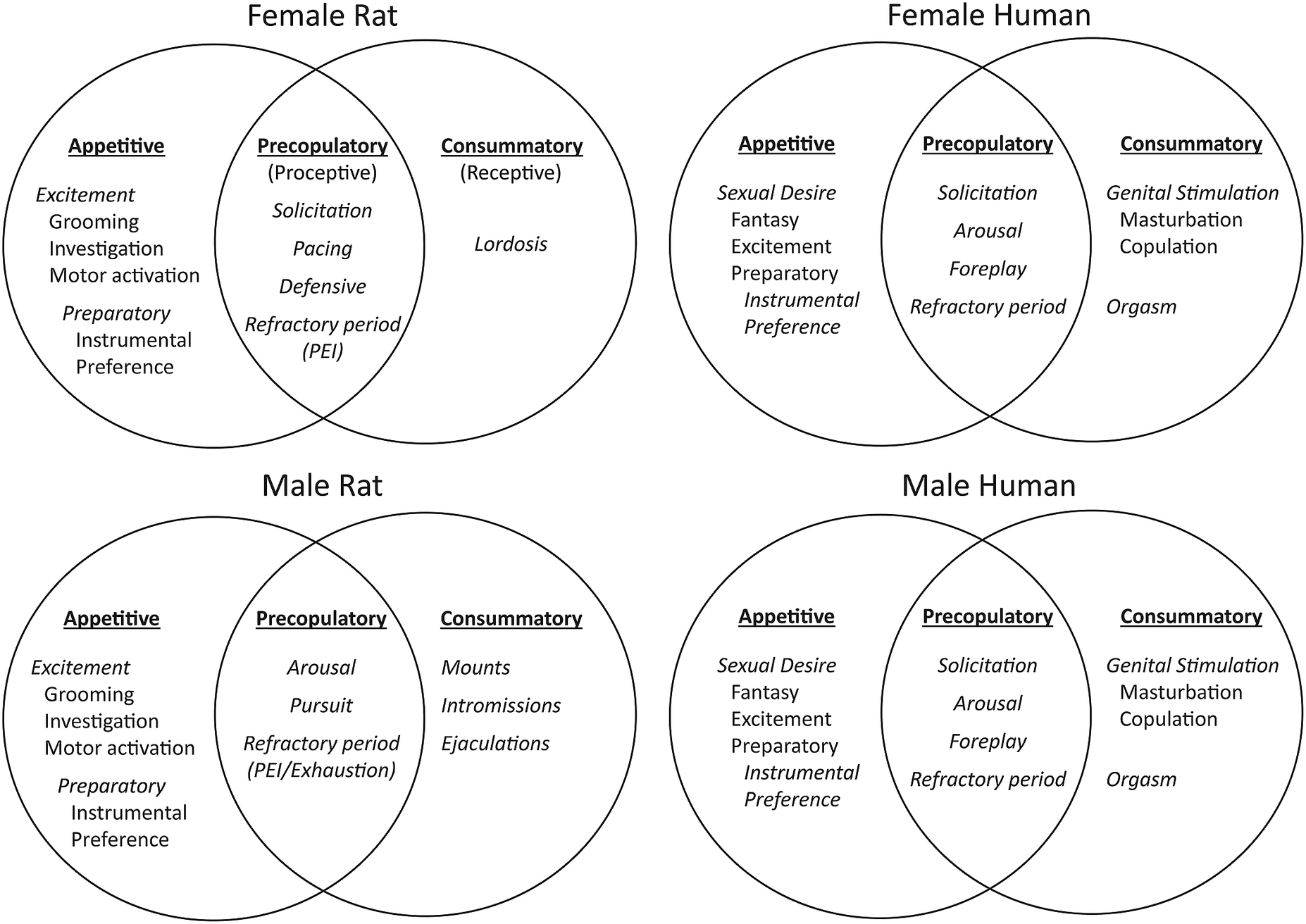 The neurobiology of bremelanotide for the treatment of hypoactive sexual  desire disorder in premenopausal women | CNS Spectrums