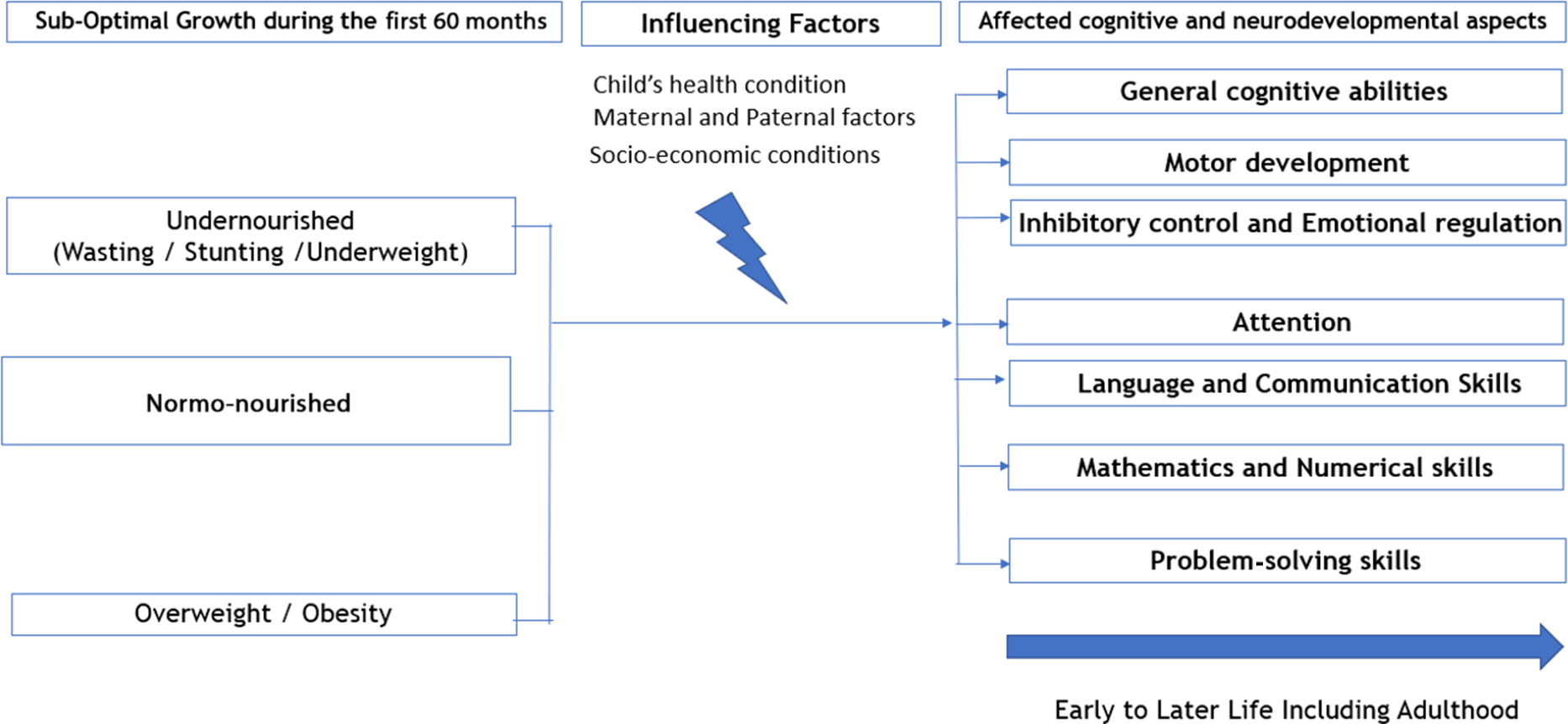 Malnutrition and shop cognitive development