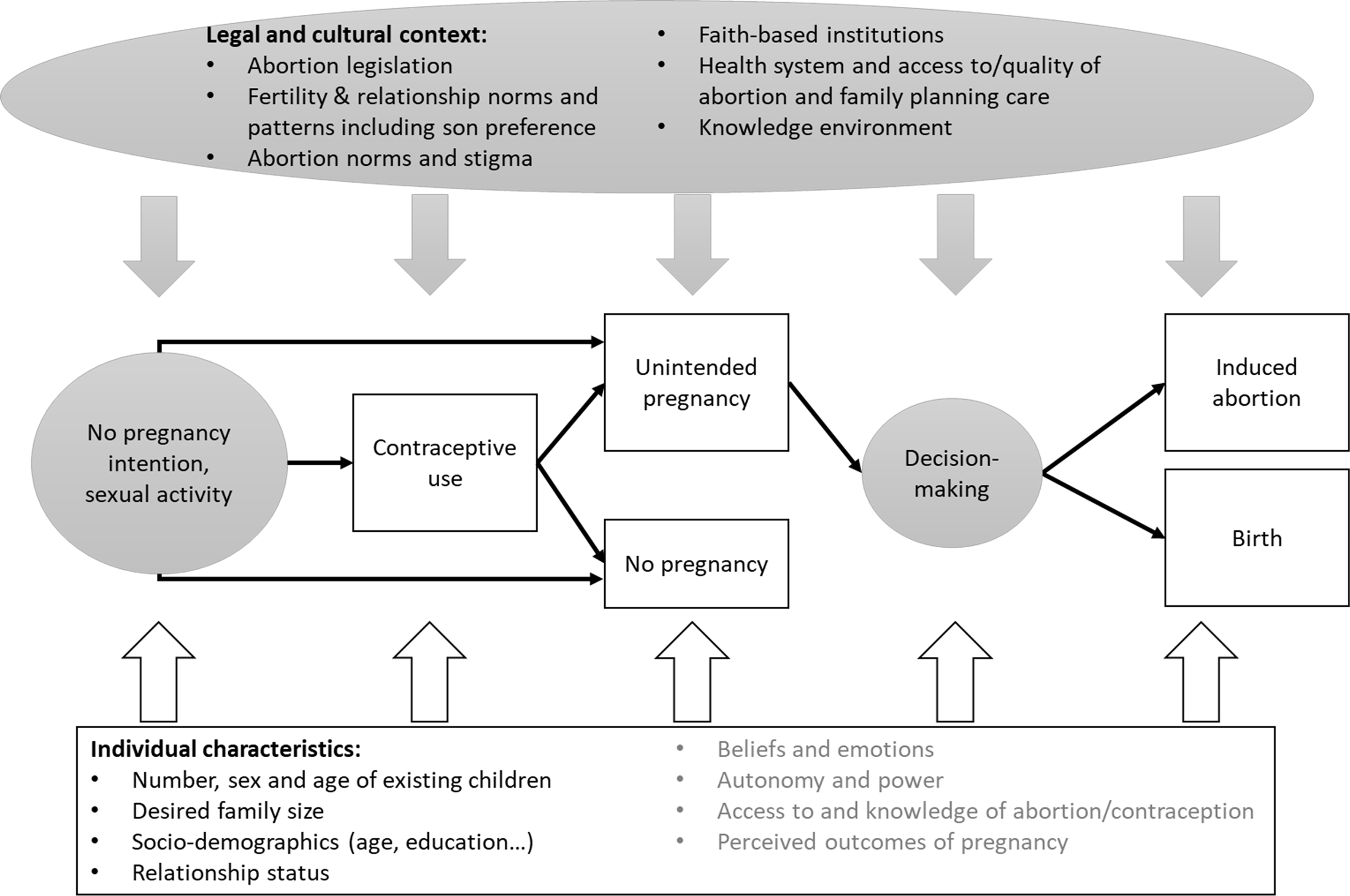 Unintended pregnancy resolution among parous women in twelve low- and  middle-income countries | Journal of Biosocial Science | Cambridge Core