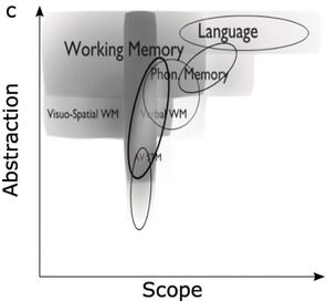 What about “space” is important for episodic memory? - Fan - 2023 - WIREs  Cognitive Science - Wiley Online Library