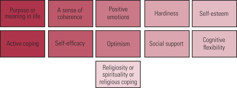 Promoting resilience in healthcare students through psychological ...