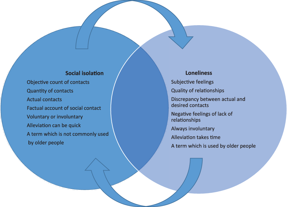 Developing a New Conceptual Framework of Meaningful Interaction for  Understanding Social Isolation and Loneliness, Social Policy and Society