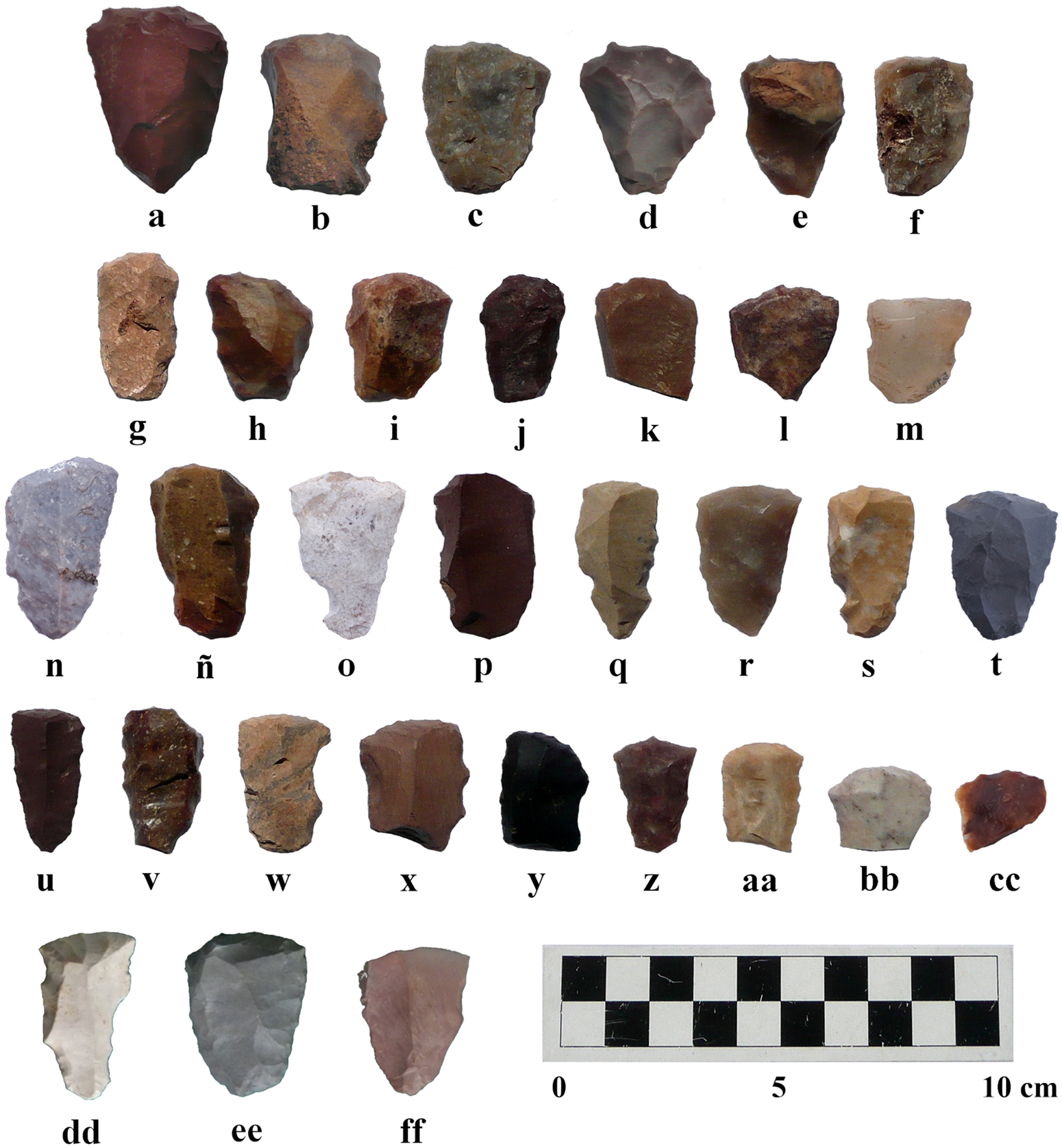 Clovis Stone Tools From El Fin Del Mundo, Sonora, Mexico: Site Use And ...