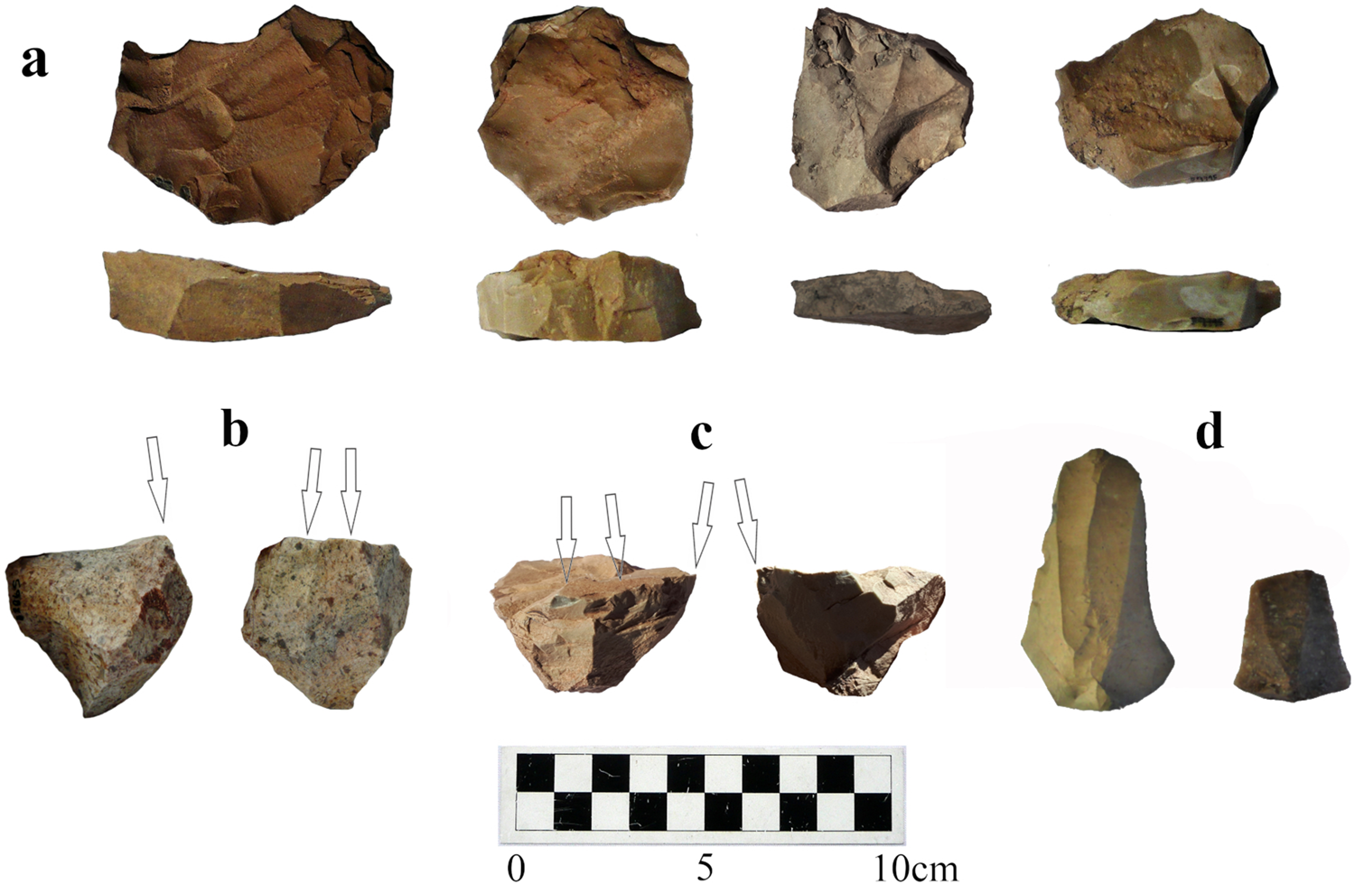 Clovis Stone Tools from El Fin del Mundo, Sonora, Mexico: Site Use and ...