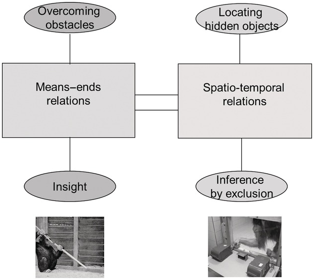 Bridging the Conceptual Gap between Inferential Reasoning and