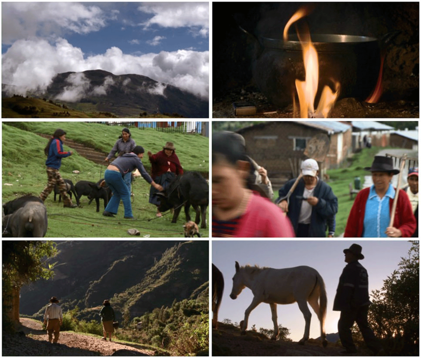 Los Andes un sentimiento: Los Andes festeja sus 98 años de vida