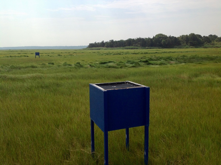 Tests of durable Nzi traps for horseflies (Diptera: Tabanidae) in ...