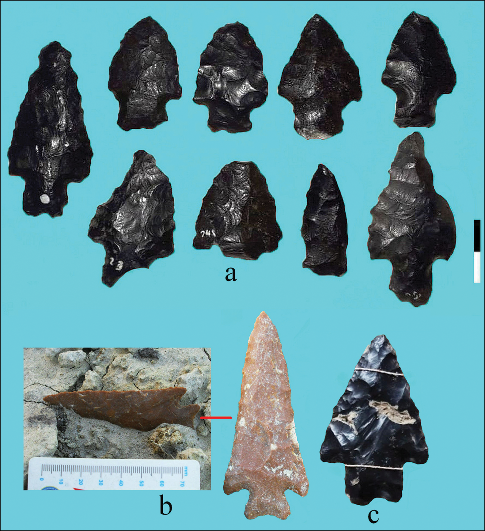 Fell points from Merín Lagoon, Uruguay: new data and their relevance to the  peopling of south-eastern South America, Antiquity