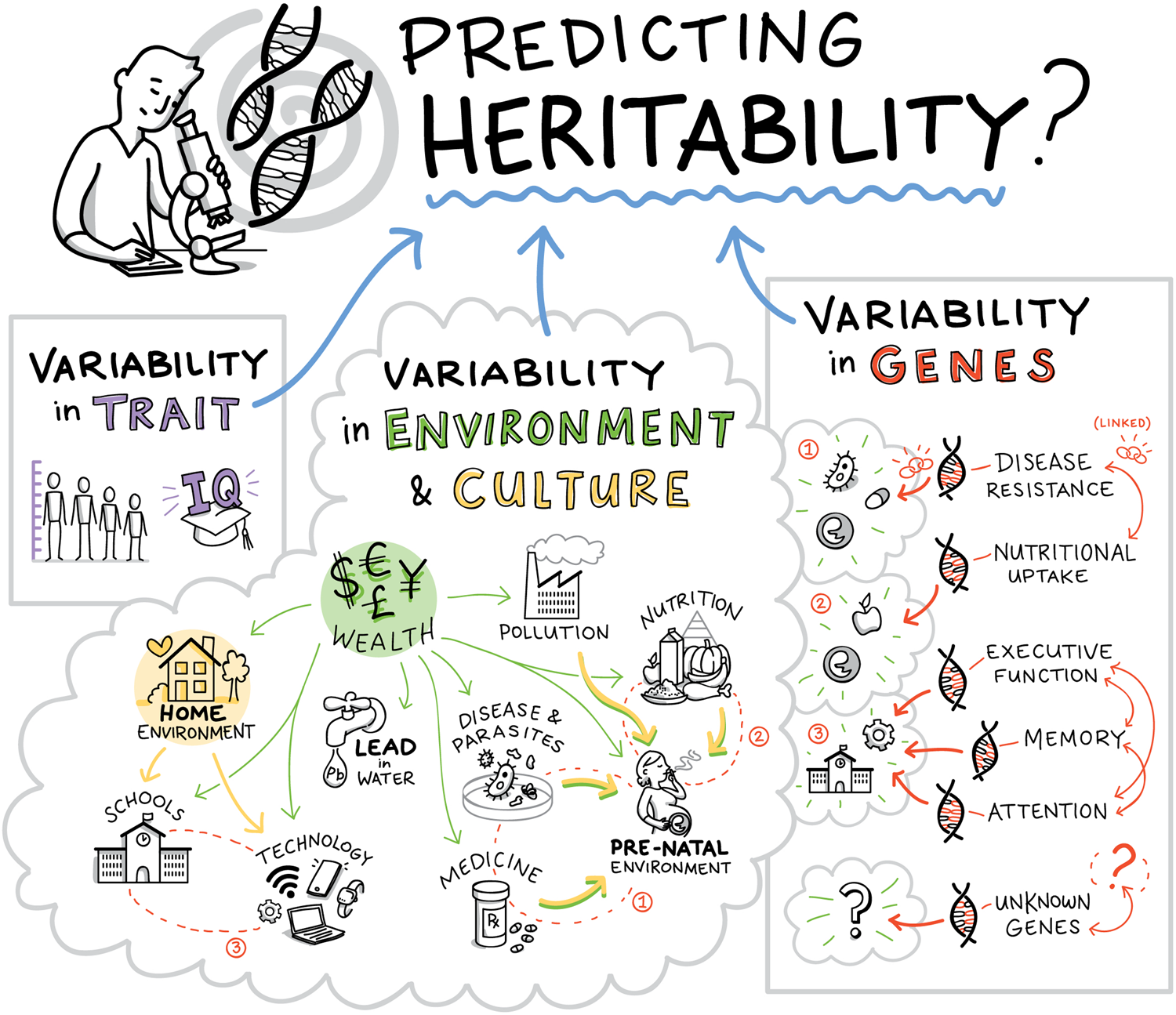 cultural-evolution-of-genetic-heritability-behavioral-and-brain