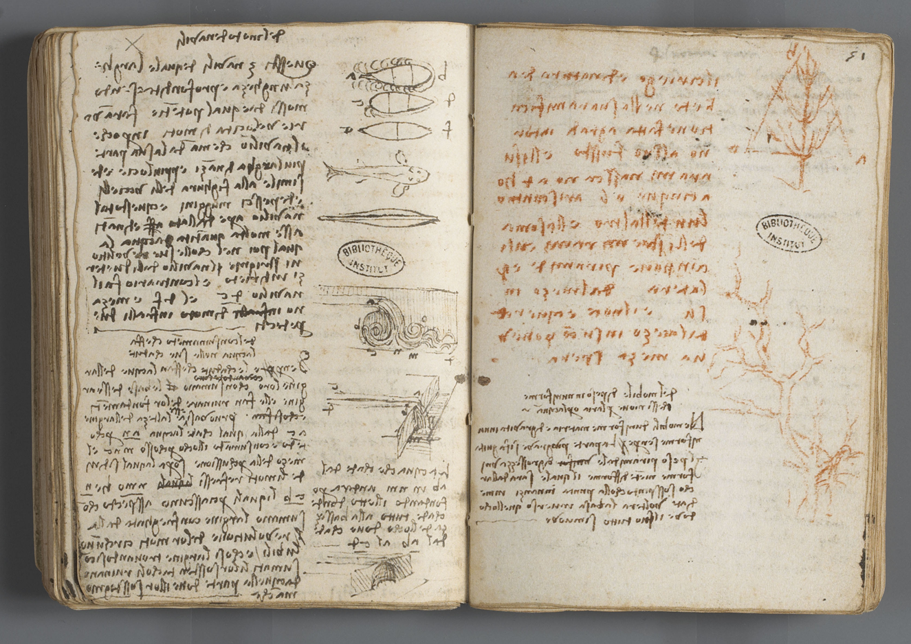 Vitruvian Man V2, Hard Cover Sketchbook, Leonardo Da Vinci Drawing, Notebook  