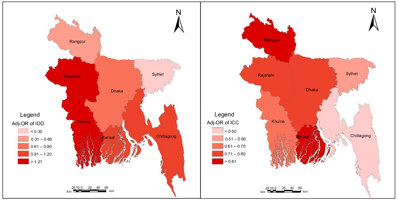 Remittances and food security in Bangladesh: an empirical country-level