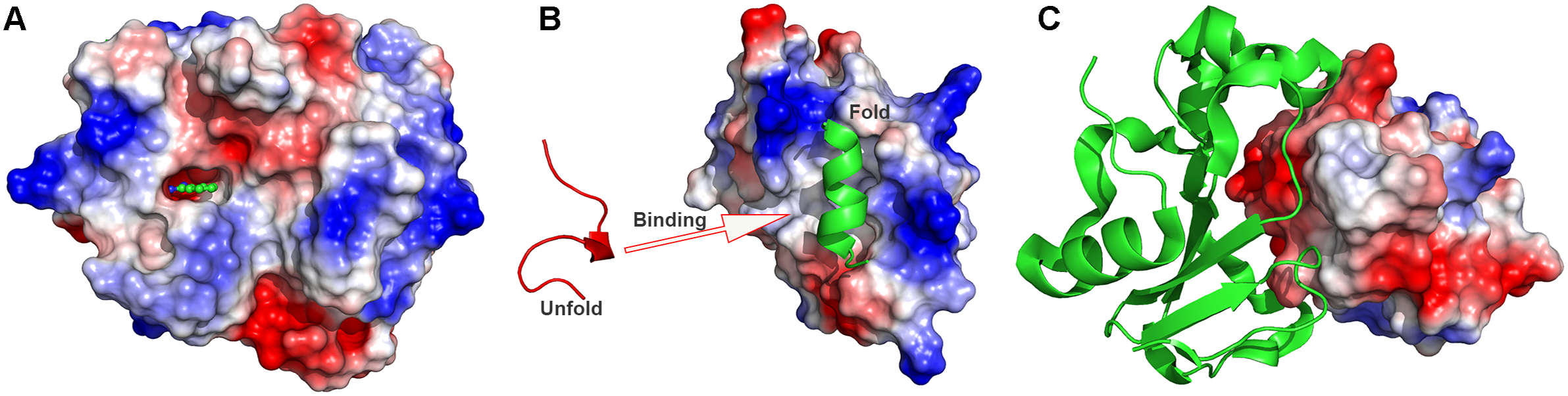 Challenges And Frontiers Of Computational Modelling Of Biomolecular ...