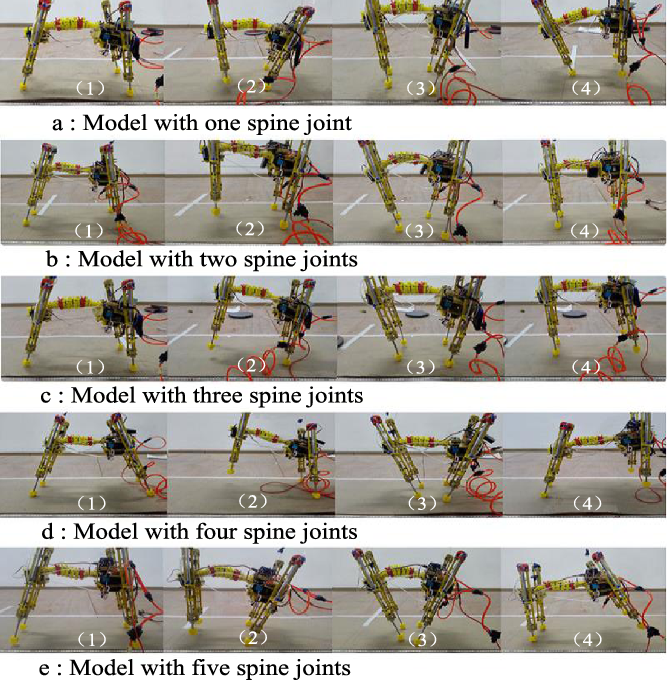 Effects Of Spinal Structure On Quadruped Bounding Gait | Robotica ...