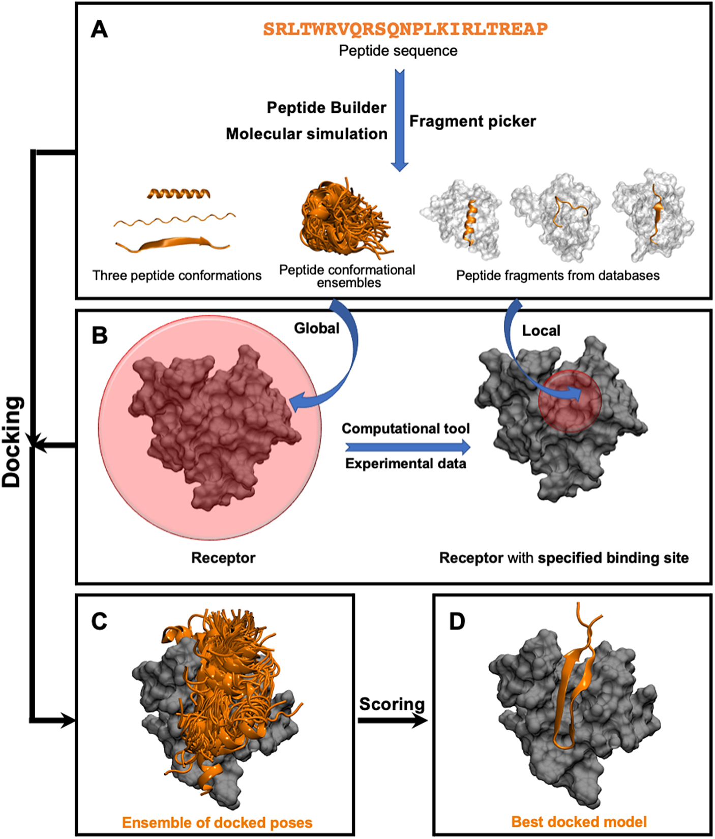 Modelling Peptide–protein Complexes: Docking, Simulations And Machine ...