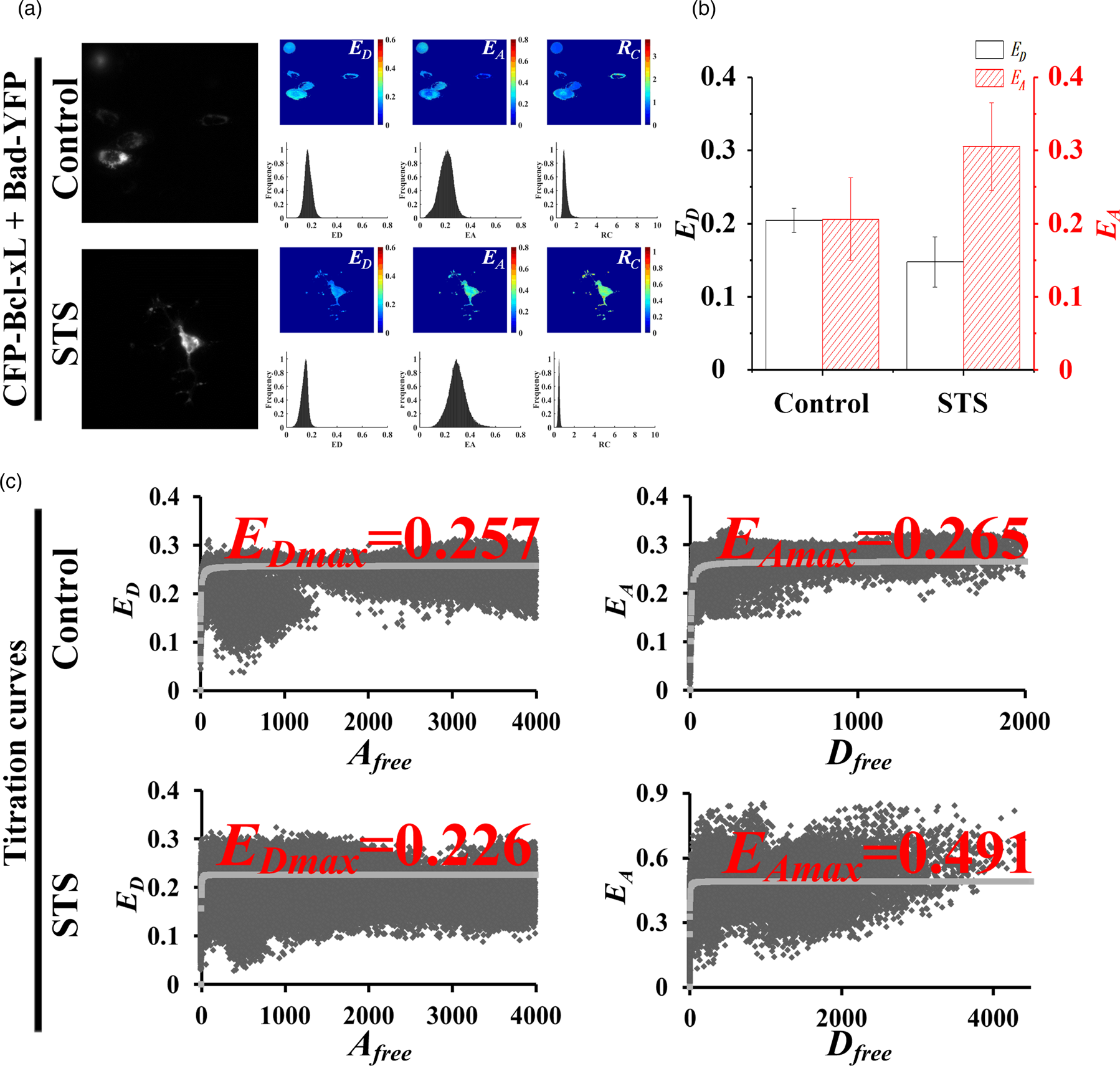 LV-MAX™ Transfection Kit