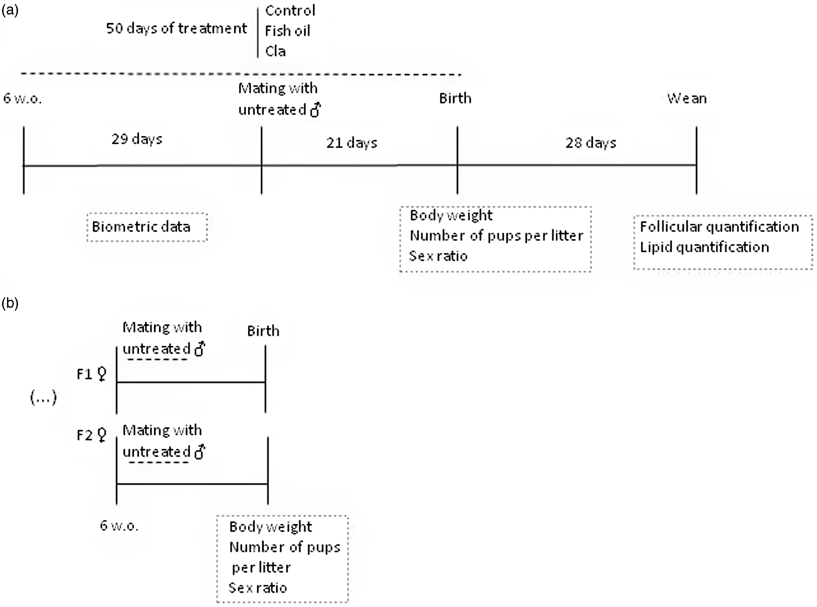 Effects Of Cis 9 Trans 11 And Trans 10 Cis 12 Conjugated Linoleic